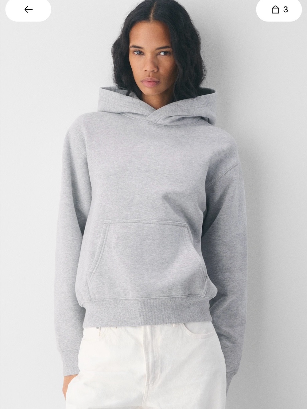 Aritzia Cozy Sweatfleece Perfect Hoodie